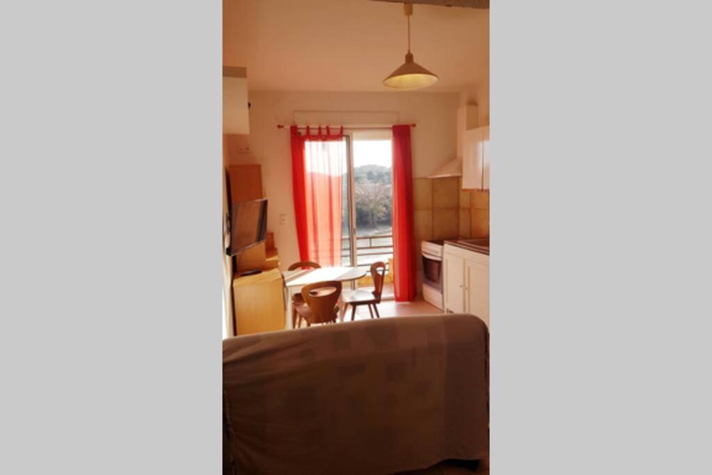 Joli Appartement, Terrasse Plein Sud Apartment Roquebrun